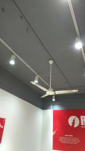 Commercial image of 400.0 Sq.ft   Shop for rent in Colaba for 50000