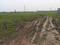 Others image of 1000.0 Sq.ft Commercial Property for rent in Mangadu for 10000