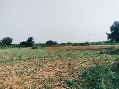 Others image of 86400.0 Sq.ft   Commercial Plot for sale in Ballepally for 10000000