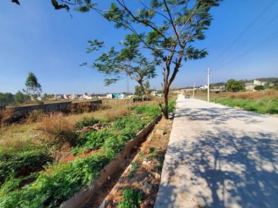 Commercial Plot