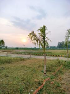 Commercial Plot