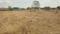 Others image of 43560.0 Sq.ft   Commercial Property for sale in Ambattur Industrial Estate for 35000000