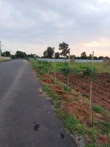 Others image of 12000.0 Sq.ft   Commercial Plot for rent in Shamshabad for 50000