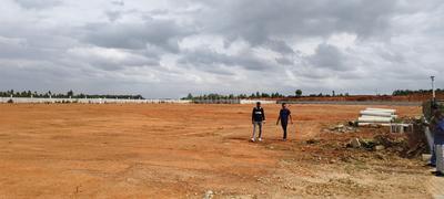 Commercial Plot