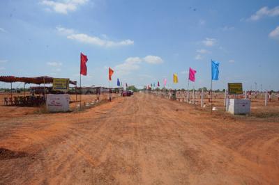 Commercial Plot
