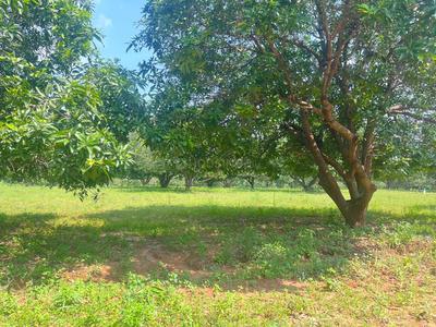 Others image of 25410.0 Sq.ft   Commercial Plot for sale in Kidaripatti for 125000