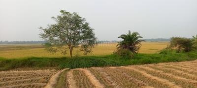 Others image of 10000.0 Sq.ft   Commercial Plot for rent in Nayabad for 300000