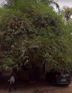 Others image of 5200.0 Sq.ft   Commercial Property for rent in T Nagar for 540000
