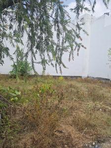 Commercial Plot