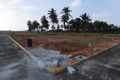 Commercial Plot