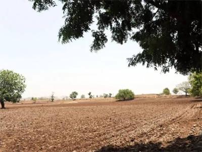 Others image of 174240.0 Sq.ft Commercial Plot for sale in Rohtak Station Diary Mohalla for 24000000