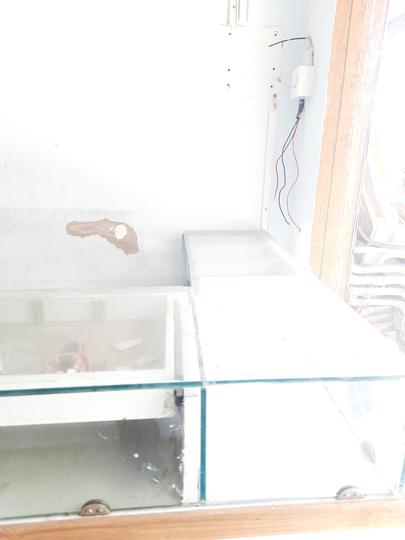 Others image of 96.0 Sq.ft   Shop for sale in Chembur for 10000000