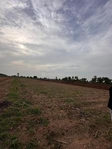 Commercial Plot