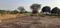 Others image of 2718.0 Sq.ft Commercial Plot for rent in Pathardi Phata for 27000