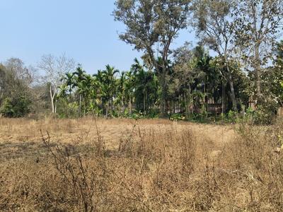 Commercial Plot