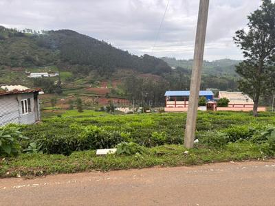 Commercial Plot