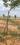 Others image of 2400.0 Sq.ft   Commercial Plot for sale in Vengal for 1920000