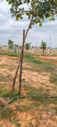 Others image of 2400.0 Sq.ft   Commercial Plot for sale in Vengal for 1920000