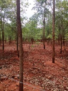 Others image of 10890.0 Sq.ft   Commercial Plot for sale in Tummalagunta for 900000