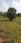 Others image of 19300.0 Sq.ft Warehouse for rent in Aranvoyal for 100000