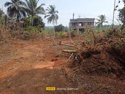 Commercial Plot