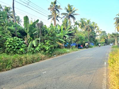 Commercial Plot