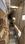 Others image of 6500.0 Sq.ft   Warehouse for rent in Shivaji Nagar for 360000