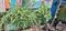 Others image of 980.0 Sq.ft   Commercial Property for sale in Bhavani Nagar for 17000000