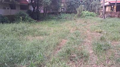Commercial Plot