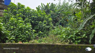 Others image of 1500.0 Sq.ft   Commercial Plot for sale in Kamalgazi for 3700000