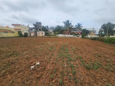 Commercial Plot