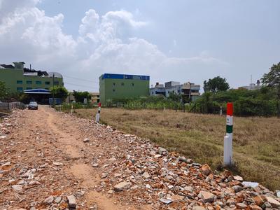 Commercial Plot