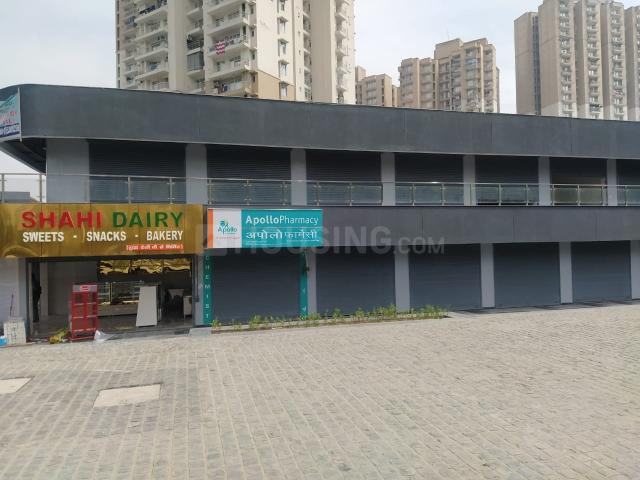 Commercial image of 172.0 Sq.ft Shop for rent in Noida Extension for 40000
