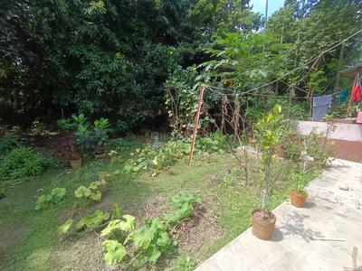 Others image of 5000.0 Sq.ft   Commercial Plot for rent in Kalyani for 60000