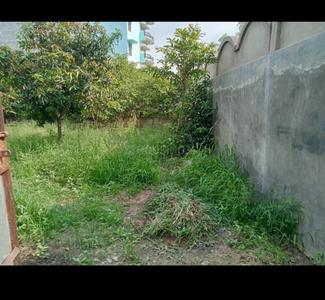 Commercial Plot