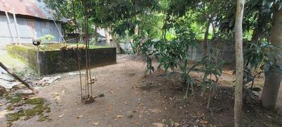 Others image of 1000.0 Sq.ft   Commercial Plot for sale in Reshambagan for 5000000
