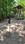 Others image of 3600.0 Sq.ft   Commercial Plot for sale in Navrangpura for 42400000