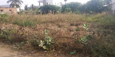 Commercial Plot