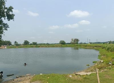 Others image of 99999.0 Sq.ft Commercial Plot for sale in Bara Nilpur for 65000000