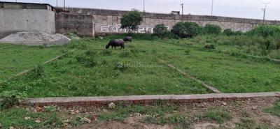 Others image of 7683.0 Sq.ft   Commercial Plot for sale in Sikandrabad for 25000000
