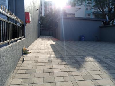 Commercial image of 5000.0 Sq.ft   Showroom for rent in Virar West for 550000