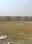 Others image of 90000.0 Sq.ft   Commercial Plot for sale in Bavla for 8000000