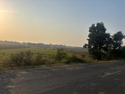 Commercial Plot