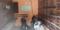 Commercial image of 150.0 Sq.ft   Shop for rent in Dwarka Mor for 10000