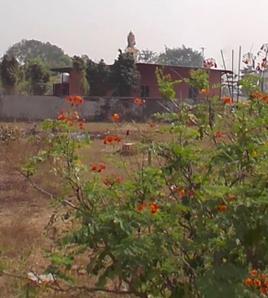 Commercial Plot