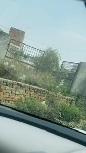 Others image of 6000.0 Sq.ft   Commercial Plot for rent in Noida Extension for 600000