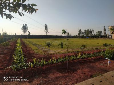 Others image of 1200.0 Sq.ft Commercial Plot for sale in Narsapura for 3600000