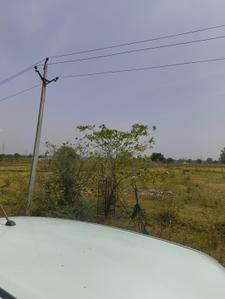 Commercial Plot