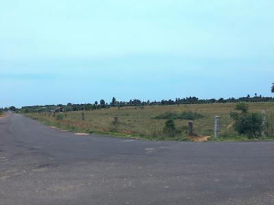 Others image of 150000.0 Sq.ft   Commercial Plot for sale in Anapirandan for 16000000