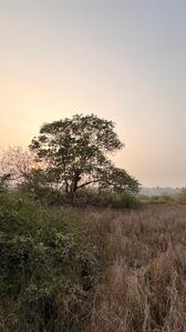 Others image of 15246.0 Sq.ft   Commercial Plot for sale in Revdanda for 7000000